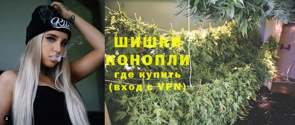 гидропоника Бородино