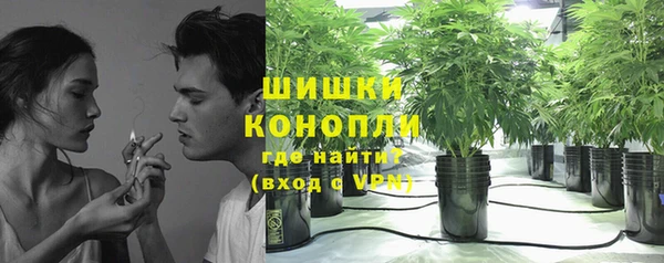 гидропоника Бородино