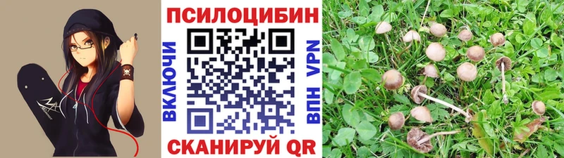 Псилоцибиновые грибы ЛСД Моршанск