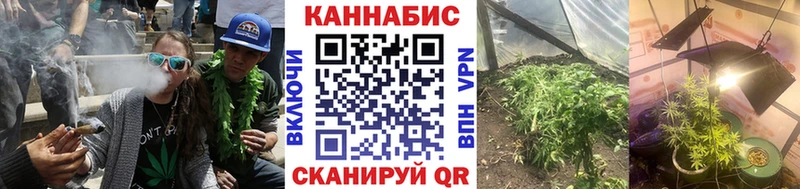 Марихуана OG Kush Моршанск